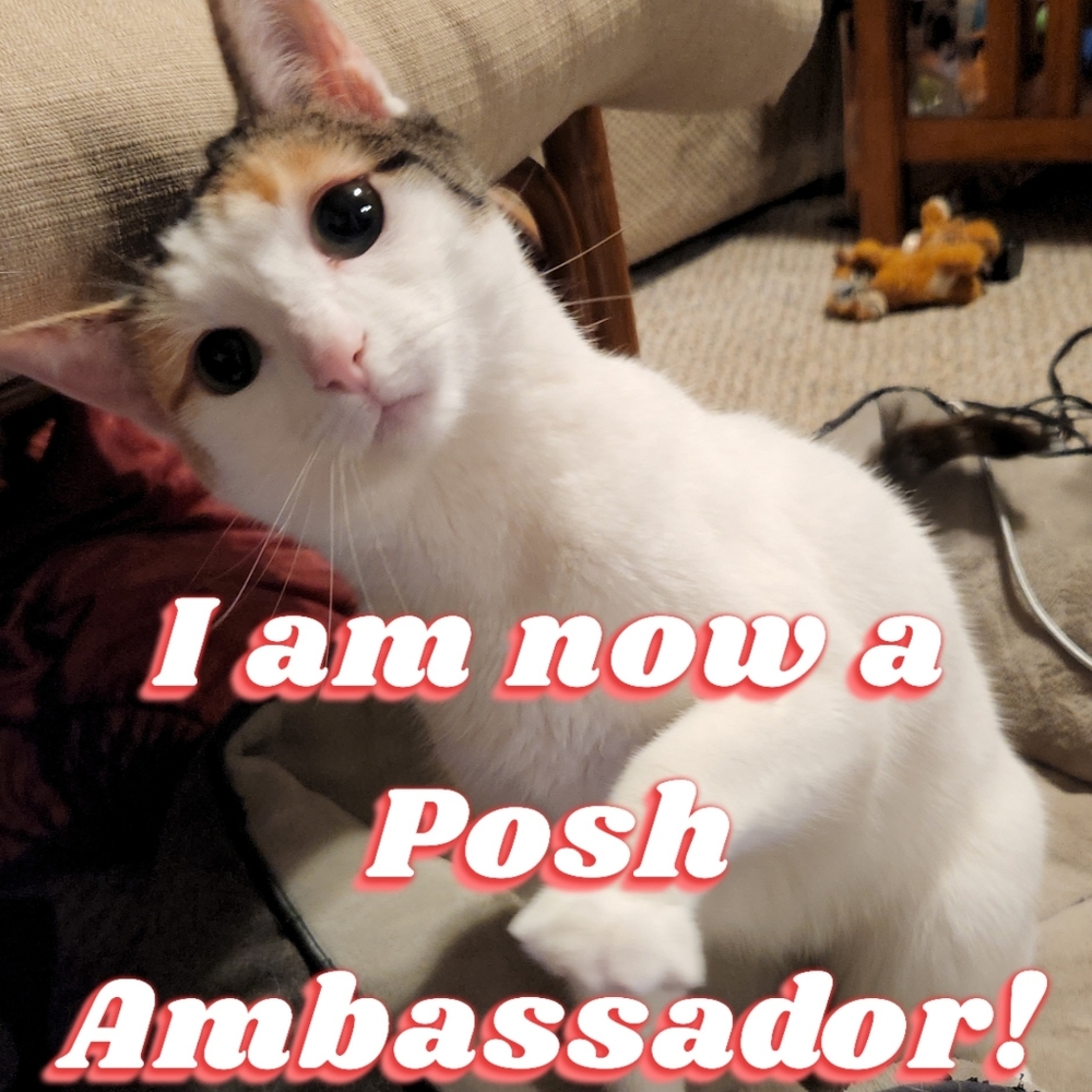 Made it to Posh Ambassador!